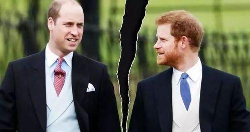 哈里最新消息爆料罗斯,揭秘罗斯的真实身份与惊人秘密